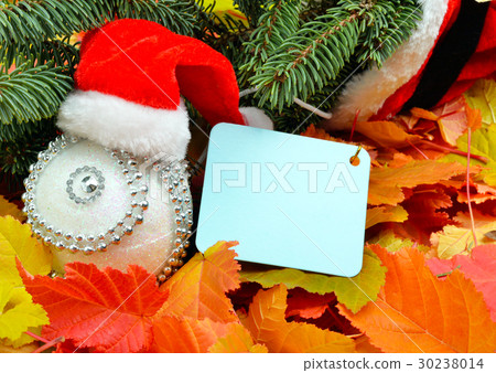 Christmas decoration. Christmas decoration. 30238014