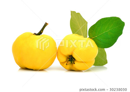 quinces isolated on white 30238030