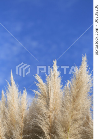 安城工業文化公園Denpak Shorarasegane Yoshi 安城工業文化公園Denpak Shorarasegane Yoshi 30238236