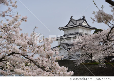 Shibata castle 30238660