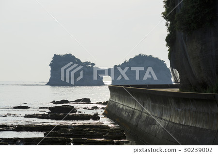 和歌山縣·Nanki Shirahama·Yogishima Island 30239002