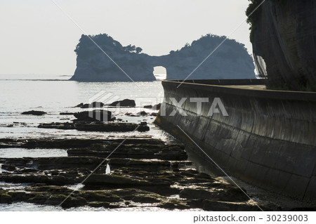 和歌山縣·Nanki Shirahama·Yogishima Island 30239003
