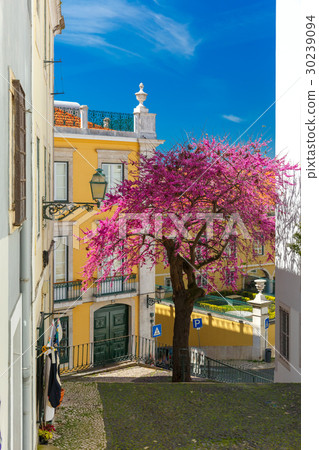 Spring typical Lisbon street, Portugal 30239094