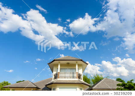 roof tiles with blue sky background 30239209