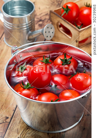 Mini tomato image 30239968