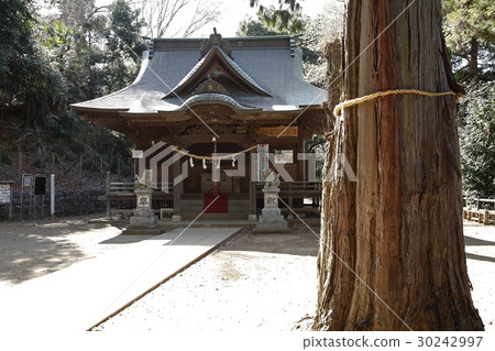 片倉城遺址公園(住吉神社:八王子市) 片倉城遺址公園(住吉神社:八王子市) 30242997