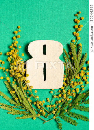 Happy Woman's Day Happy Woman's Day 30244235