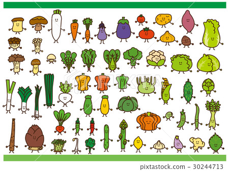 Vegetable Illustration 30244713