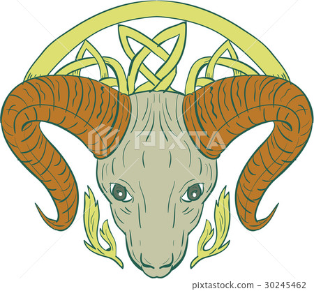 Ram Head Celtic Knot 30245462
