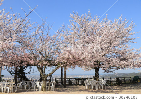 Iyo Matsuyama Castle Landscape seen from Honmaru Square Iyo Matsuyama Castle Landscape seen from Honmaru Square 30246105