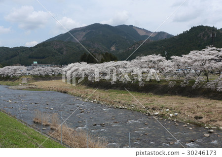 Ayu River's Senbonkakura Ayu River's Senbonkakura 30246173