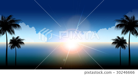 海棕櫚夏天背景 30246666