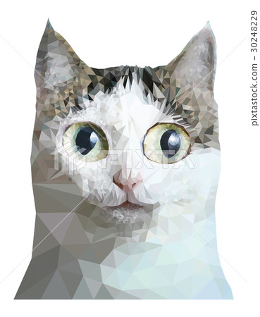 low poly cat close up portrait low poly cat close up portrait 30248229