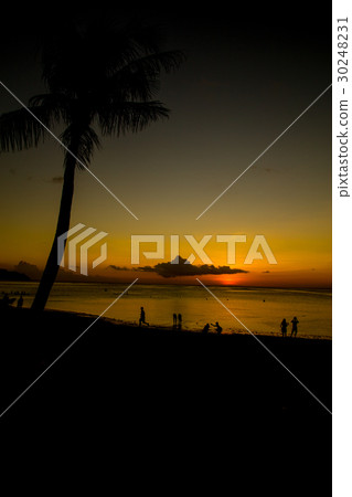 Tropical beach Tropical beach 30248231