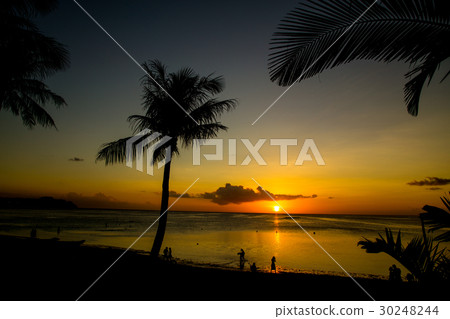 Tropical beach 30248244