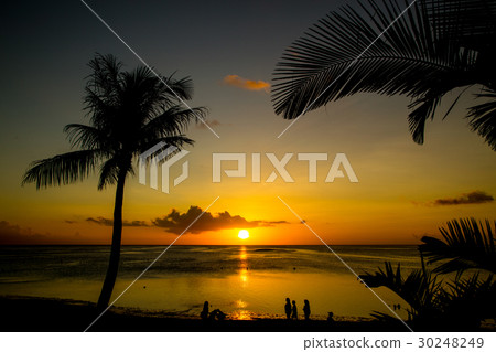 Tropical beach Tropical beach 30248249