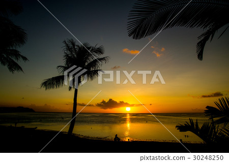 Tropical beach 30248250