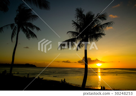 Tropical beach Tropical beach 30248253