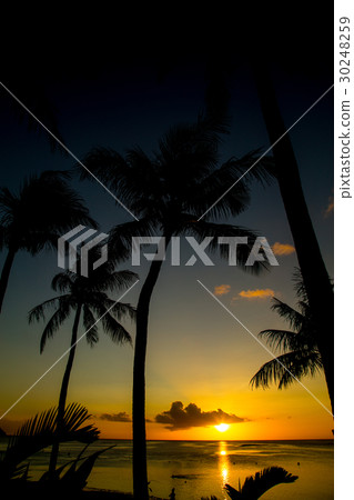 Tropical beach Tropical beach 30248259