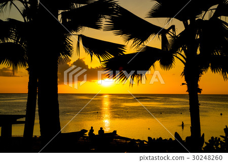 Tropical beach Tropical beach 30248260
