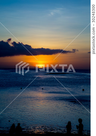 Tropical beach 30248300