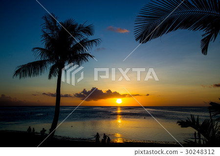 Tropical beach 30248312