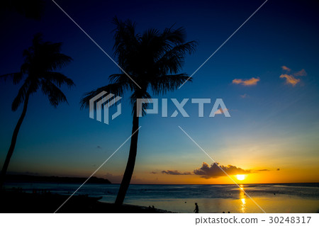 Tropical beach 30248317