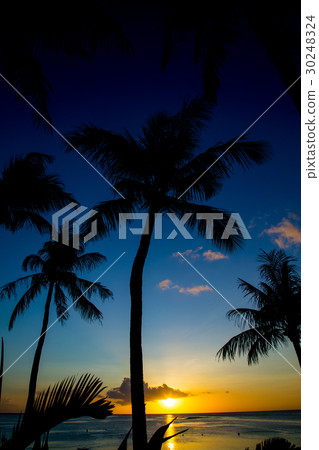 Tropical beach 30248324