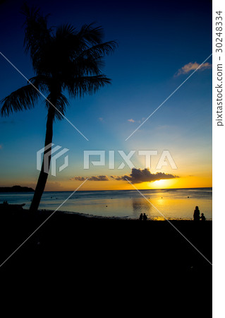 Tropical beach 30248334