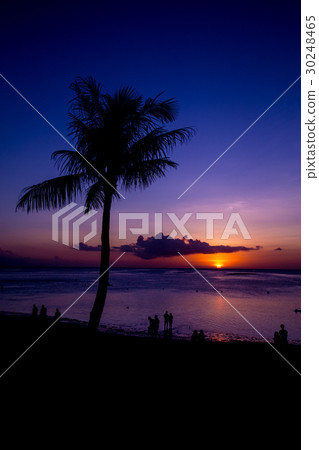 熱帶海灘 30248465