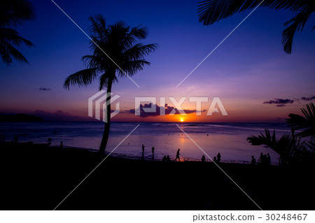 熱帶海灘 30248467