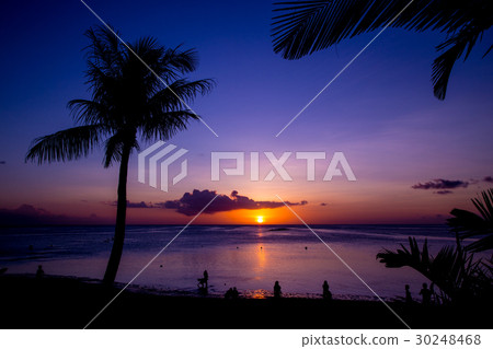 熱帶海灘 30248468