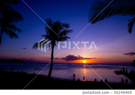 熱帶海灘 30248469
