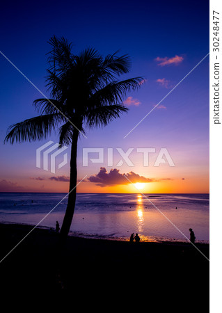 Tropical beach Tropical beach 30248477