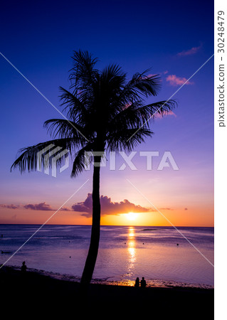 Tropical beach 30248479