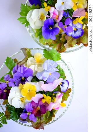 Edible flower salad 30249274