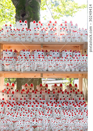 Lots of inviting cats Lots of inviting cats 30249414