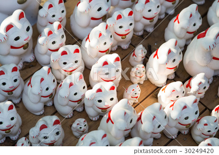 Lots of inviting cats 30249420