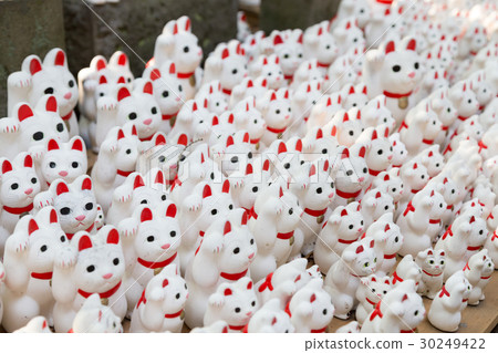 Lots of inviting cats 30249422