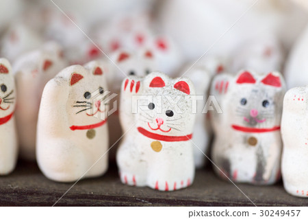 Lots of inviting cats 30249457