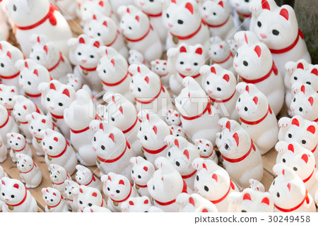 很多誘人的貓 30249458