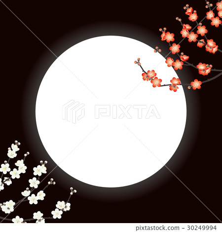 Plum and moon Japanese style background material 30249994