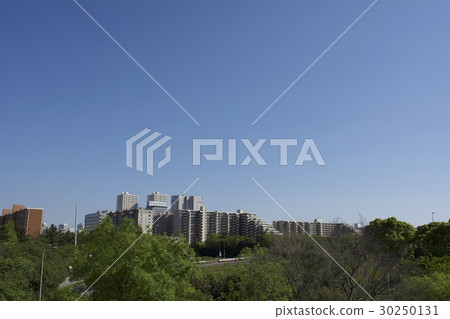 浦安市四月 30250131