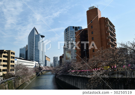 來自東京著名景點目黑河的目黑新橋 30250519