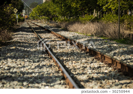 Nantou Jiji Small Train Railway Train tracks Nantou Jiji Small Train Railway Train tracks 30250944