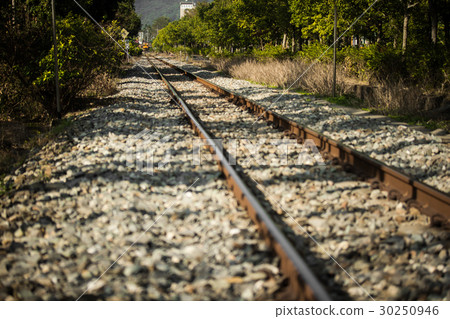 南投集集小火車鐵路Train tracks 30250946