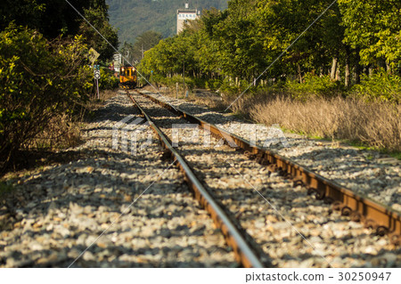 Nantou Jiji Small Train Railway Train tracks Nantou Jiji Small Train Railway Train tracks 30250947