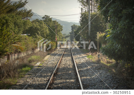 Nantou Jiji Small Train Railway Train tracks Nantou Jiji Small Train Railway Train tracks 30250951