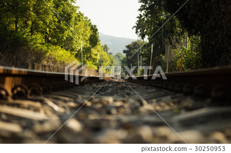 Nantou Jiji Small Train Railway Train tracks Nantou Jiji Small Train Railway Train tracks 30250953