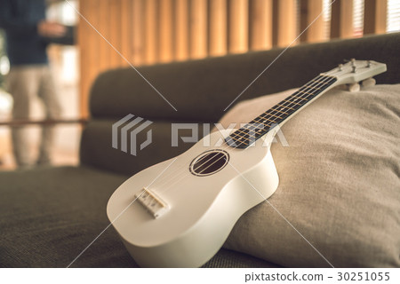 Musical instrument 30251055